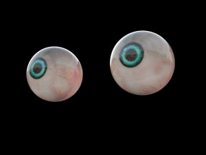 3d realistic human eye photorealistic model eyeball 3D 모델