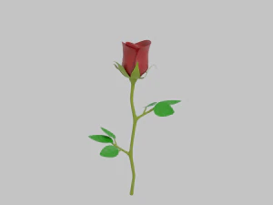 rosa Modelo 3D