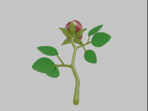 rose 3D Model