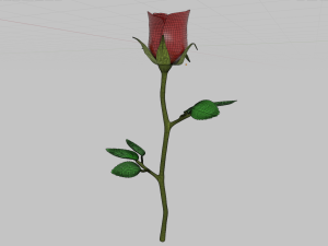 rose 3D मॉडल