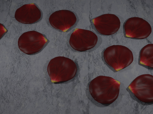 rose petals 3D Model