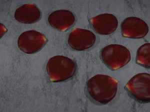 rose petals 3D Model