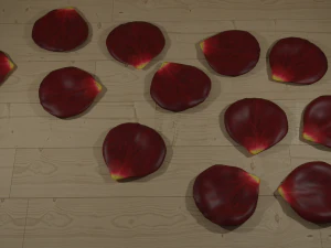 rose petals 3D Model