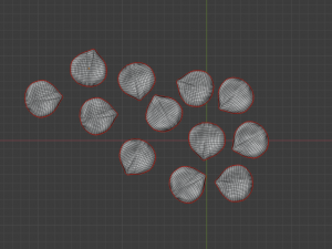 rose petals 3D Model