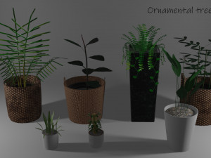 ornamental trees 3D Model