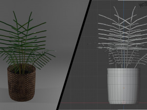 ornamental trees 3Dモデル