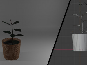 ornamental trees 3Dモデル