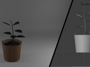 ornamental trees 3D Model