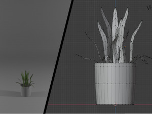 ornamental trees 3Dモデル