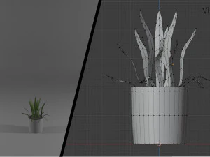 ornamental trees 3D Model