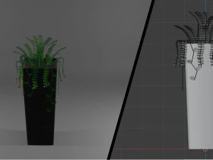 ornamental trees 3D Model