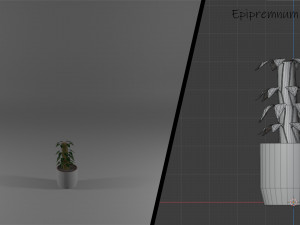 ornamental trees 3Dモデル