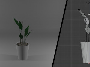 ornamental trees 3Dモデル