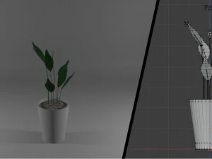 ornamental trees 3D Model
