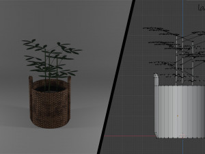 ornamental trees 3Dモデル