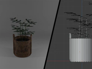 ornamental trees 3D Model