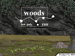 pacote de madeira Modelo 3D