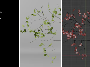 woods pack 3D Model