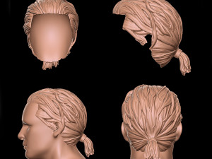 Hair 1 3D Print Model