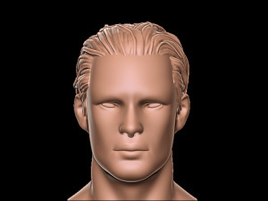 Hair 1 3D 프린트 모델