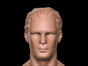 Hair 1 3D Print Model