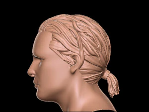 Hair 1 3D Print Model