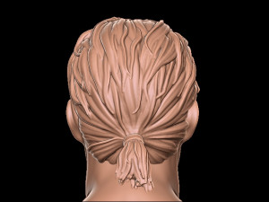 Hair 1 3D 프린트 모델