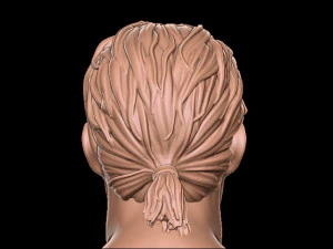 Hair 1 3D Print Model