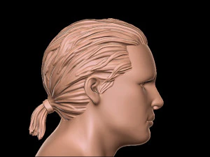 Hair 1 3D Print Model