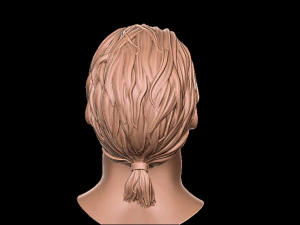 Hair 1 3D Print Model