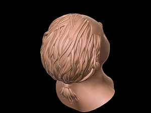 Hair 1 3D Print Model