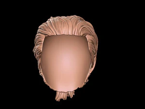 Hair 1 3D Print Model