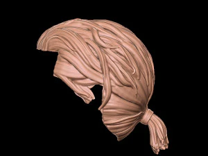 Hair 1 3D Print Model