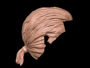 Hair 1 3D Print Model