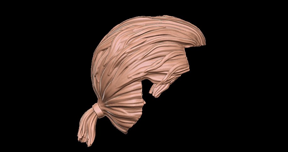 Hair 1 3D Print Model in Man 3DExport