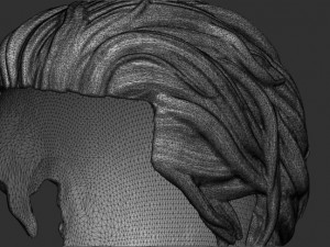 Hair 1 3D 프린트 모델