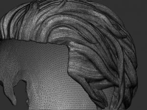 Hair 1 3D Print Model