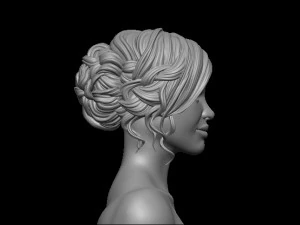 Hair 2 3D Print Model