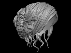 Hair 2 3D Print Model