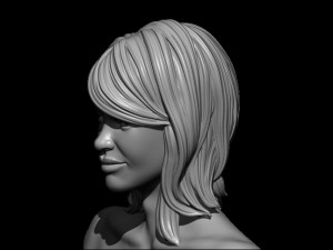 Hair 4 3D 打印模型