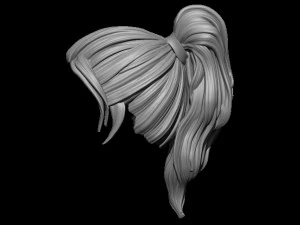 Hair 5 3D Print Model