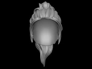 Hair 5 3D Print Model
