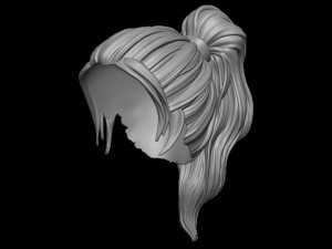 Hair 5 3D Принт Модель
