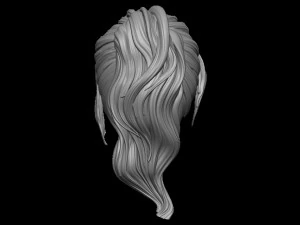 Hair 6 3D Print Model