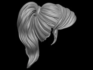 Hair 6 3D Print Model