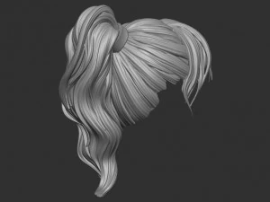 Hair 7 3D Print Model