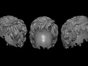 Hair 8 3D Print Model