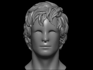 Hair 8 3D Print Model