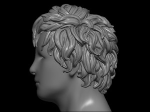 Hair 8 3Dプリントモデル