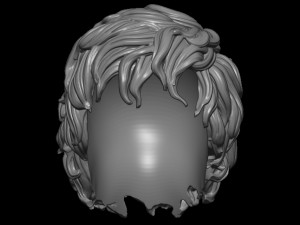 Hair 8 3Dプリントモデル